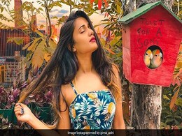 Bigg Boss 13: बिग बॉस 13 में नजर आ सकती है ये TikTok Star, लगाएंगी ग्लैमर का जबरदस्त छौंक- देखें Video Bigg Boss 13: बिग बॉस 13 में नजर आ सकती है ये TikTok Star, लगाएंगी ग्लैमर का जबरदस्त छौंक- देखें Video