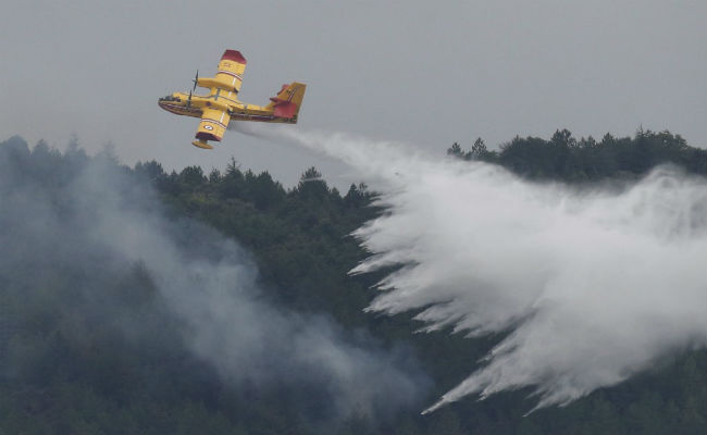 Fierce Wildfire Stopped In Southern France, 500 Firefighters Were On Spot