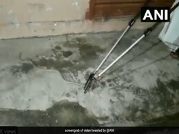 शख्स ने ऑर्डर किया था किराने का सामान, घर पार्सल पहुंचा तो निकला 5.5 फीट का कोबरा शख्स ने ऑर्डर किया था किराने का सामान, घर पार्सल पहुंचा तो निकला 5.5 फीट का कोबरा