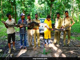 14 फीट से भी बड़े अजगर ने मचाई खलबली, 7 लोगों ने किया काबू, वायरल हुई PHOTO 14 फीट से भी बड़े अजगर ने मचाई खलबली, 7 लोगों ने किया काबू, वायरल हुई PHOTO