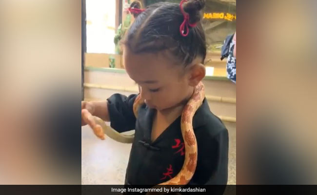 सांप से खेल रही थी एक्ट्रेस की बेटी, फिर हुआ कुछ ऐसा, देखें Video