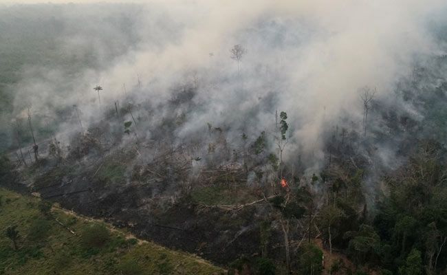 Rain Unlikely To Extinguish Amazon Forest Fires Anytime Soon, Say Experts
