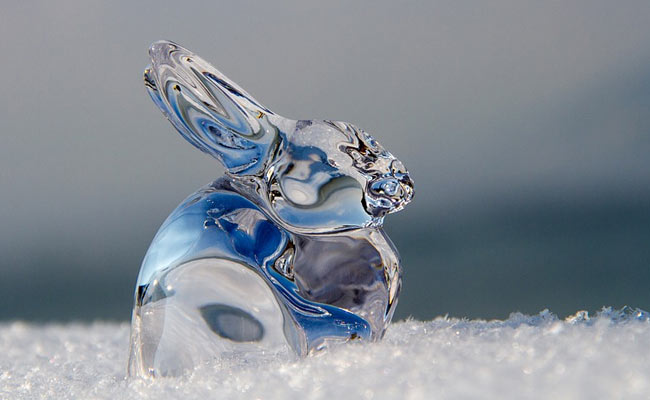 7 Glass Showpieces That Will Add An Elegant Touch To Your Home
