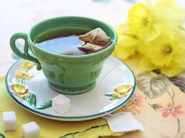 बायोडिग्रेडेबल Tea बैग भी प्लास्टिक की तरह हानिकारक, रिसर्च में चौंकाने वाली जानकारी आई सामने बायोडिग्रेडेबल Tea बैग भी प्लास्टिक की तरह हानिकारक, रिसर्च में चौंकाने वाली जानकारी आई सामने
