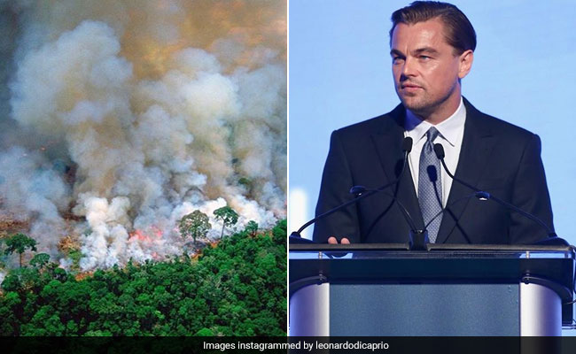 Leonardo DiCaprio Falls For Old Pic Going Viral As Amazon Rainforest Fire