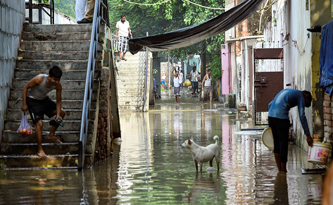 Pregnant Woman, Family Spend Night On Tree As Yamuna Overflows In Delhi