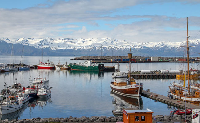Iceland Builds First Monument In Memory Of Glacier Lost To Climate Change