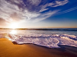 Mysterious "Skeleton-Like" Figure Leaves UK Couple Baffled. See Photos