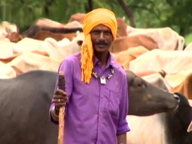 Sponsored Feature: Cow Creches To Revive Chhattisgarh's Rural Economy