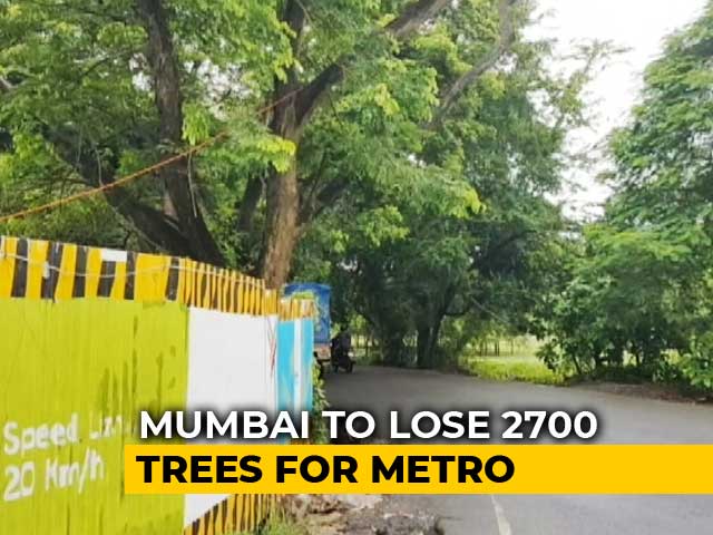 2,700 Trees In Mumbai To Be Cut For Metro, Activists To Approach Court
