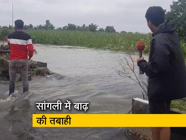 महाराष्ट्र के सांगली में बाढ़ से बुरा हाल, बर्बाद हुई फसलें