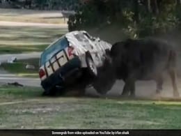 गुस्साए गैंडे ने अपने सिर से यूं पलटी कार की उड़ गए परखच्चे...अदंर मौजूद था ड्राइवर, Video Viral गुस्साए गैंडे ने अपने सिर से यूं पलटी कार की उड़ गए परखच्चे...अदंर मौजूद था ड्राइवर, Video Viral