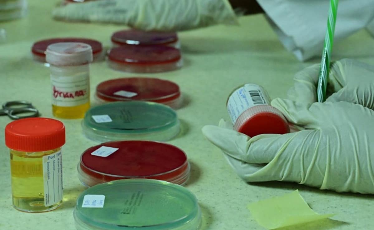 No Hope: Why Afghanistans Anti-Doping Fight Has Hit Rock Bottom