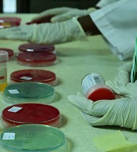 No Hope: Why Afghanistans Anti-Doping Fight Has Hit Rock Bottom