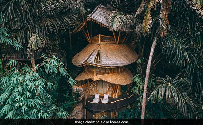 Spectacular Bamboo Treehouse That Sits In A Jungle Is Available To Rent