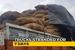 Potatoes Rot In Trucks Stranded At Maharashtra's Flooded Kolhapur Potatoes Rot In Trucks Stranded At Maharashtra's Flooded Kolhapur