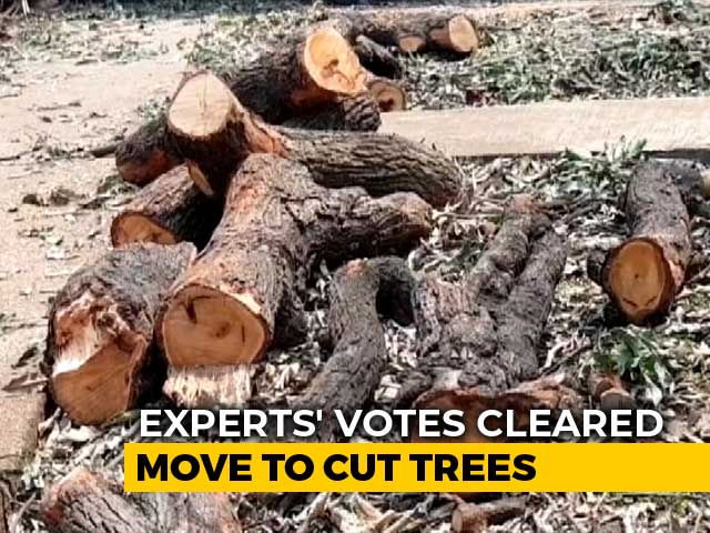 Tree Authority Allows Cutting Of 2700 Trees For Mumbai Metro Car Shed