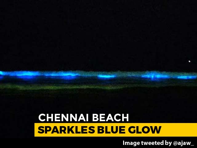 Sparkling Blue Waves In Chennai Leave People In Awe, Scientists Curious