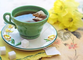 5 Green Tea Options To Add To Your Healthy Diet 5 Green Tea Options To Add To Your Healthy Diet