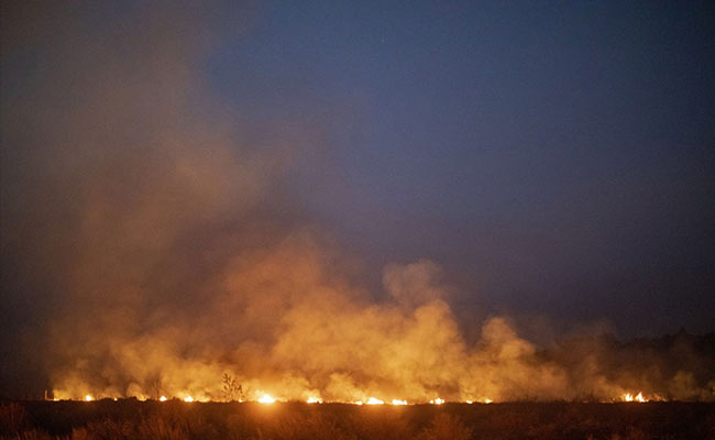 "Respond To Call Of Forest": G7 To Give $20 Million To Fight Amazon Fires