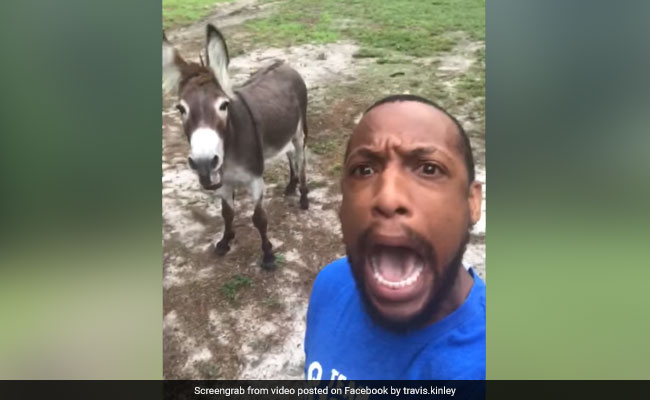 A Man And His Donkey Sing '<i>Circle Of Life</i>'. Duet Will Leave You In Splits