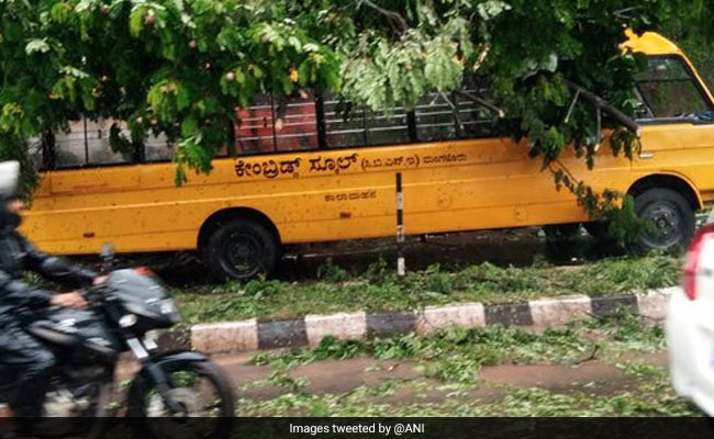 Tree Falls On School Bus In Flood-Affected Karnataka, 17 Students Injured