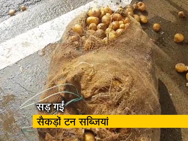 बाढ़ की वजह से फंसे ट्रकों में लदा सैकड़ों टन आलू सड़ा