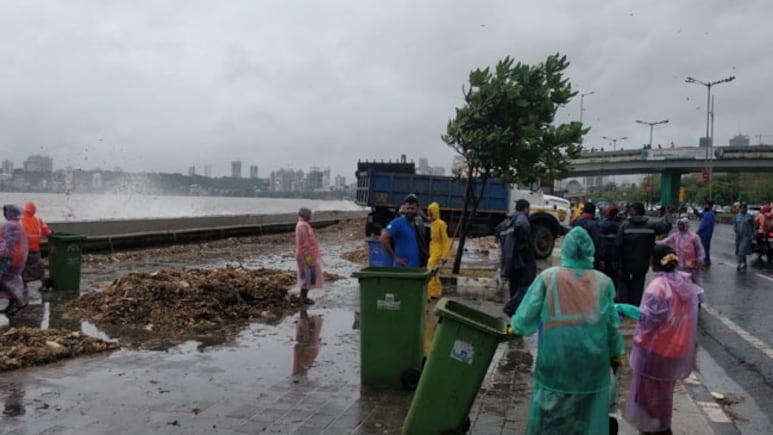 'Entire Mumbai Filled With Filth': High Court Raps India's Richest Civic Body