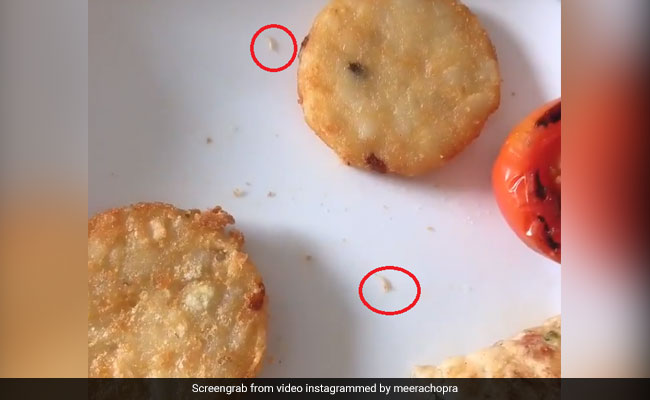 Actor Meera Chopra Finds Maggots In Food Served At Ahmedabad 5-Star Hotel