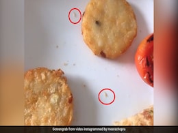 Actor Meera Chopra Finds Maggots In Food Served At Ahmedabad 5-Star Hotel Actor Meera Chopra Finds Maggots In Food Served At Ahmedabad 5-Star Hotel