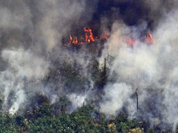 After Global Outcry, Brazil Sends Army To Put Out Amazon Rainforest Fires After Global Outcry, Brazil Sends Army To Put Out Amazon Rainforest Fires