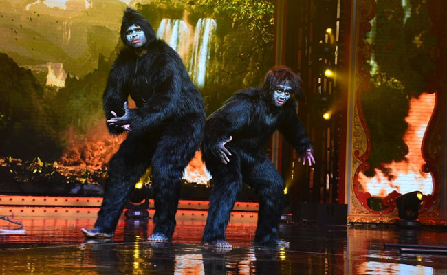 Nach Baliye 9: गोरिल्ला बन बबीता और विवेक ने दिया सोशल मैसेज, अपनी परफॉर्मेंस से सबको चौंकाया