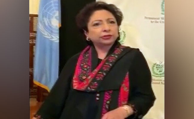 "You Don't Deserve To Represent Us'': Pak Envoy To UN Heckled At Event
