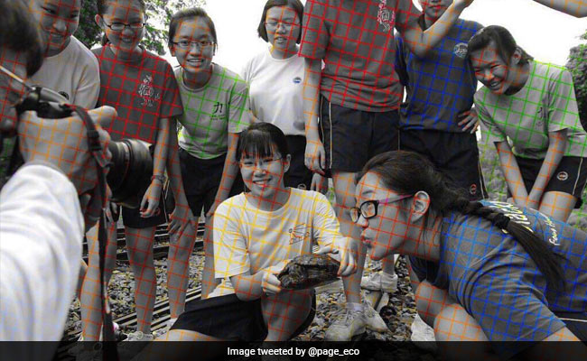 Black And White Or Coloured? Viral Optical Illusion Confuses The Internet