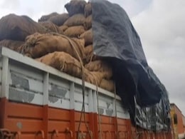आलू के दाम में क्यों आई भारी गिरावट, रिकॉर्ड पैदावार बनी किसानों के लिए आफत आलू के दाम में क्यों आई भारी गिरावट, रिकॉर्ड पैदावार बनी किसानों के लिए आफत