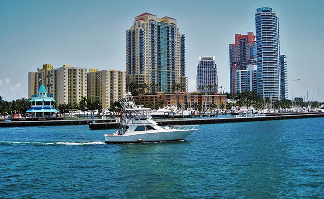 "Iguanacorn" Is Miami's Answer To Silicon Valley's $1 Billion Unicorns