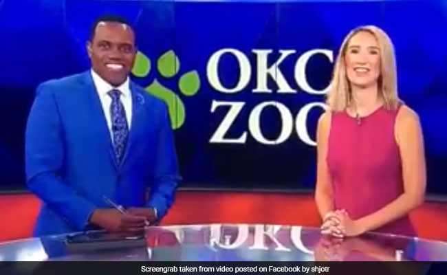 A Black TV Host's Co-Anchor Compared Him To A Gorilla. His Response