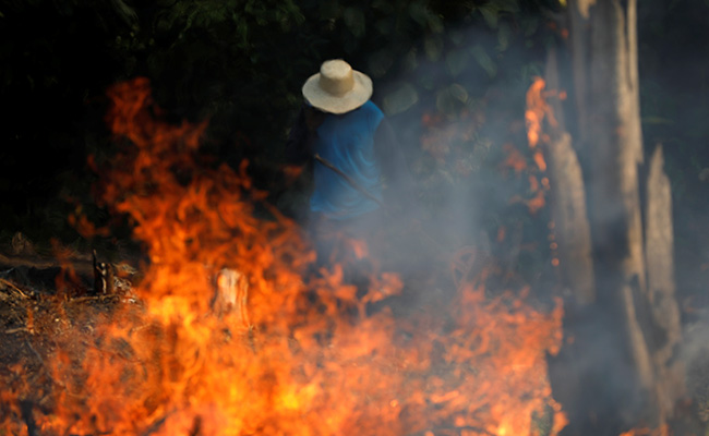 Amazon Rainforest Burning: Brazil Reports Record Forest Fires