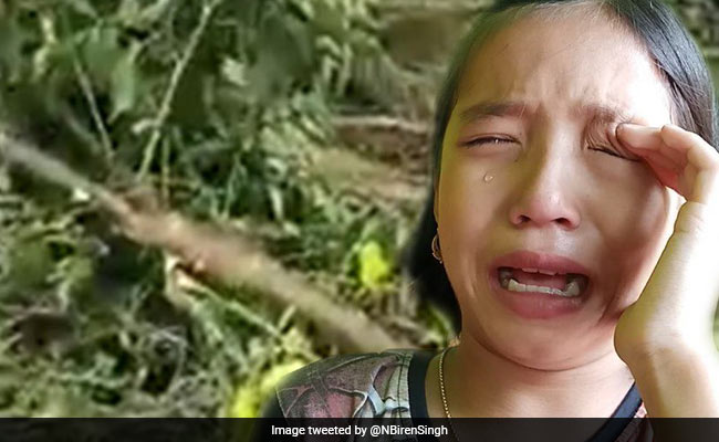 Girl, 9, Seen Crying Over Felled Trees Made Manipur's "Green Ambassador"