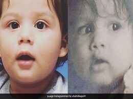 Internet Thinks Zain Is Shahid Kapoor's 'Xerox Copy.' See Pic Internet Thinks Zain Is Shahid Kapoor's 'Xerox Copy.' See Pic