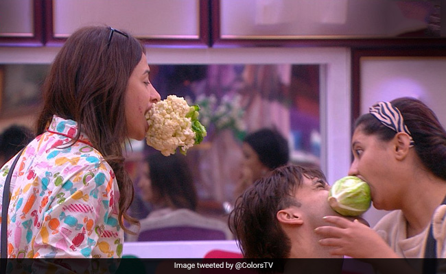 <i>Bigg Boss 13</i>, Day 1, Written Update: '<I>Maalkin</i>' Ameesha Patel Makes The Contestants Earn Their Food