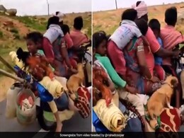 VIDEO: शख्स ने 6 लोगों और दो कुत्तों को बिठाकर चलाई बाइक, देखने वाले हो गए Shocked VIDEO: शख्स ने 6 लोगों और दो कुत्तों को बिठाकर चलाई बाइक, देखने वाले हो गए Shocked
