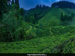 World Tourism Day: Northeast India की 5 सबसे खूबसूरत जगहें, अगली बार जरूर घूमने जाएं यहां World Tourism Day: Northeast India की 5 सबसे खूबसूरत जगहें, अगली बार जरूर घूमने जाएं यहां