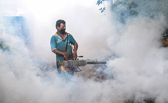 Delhi To Begin Anti-Dengue Campaign From September: State Health Minister
