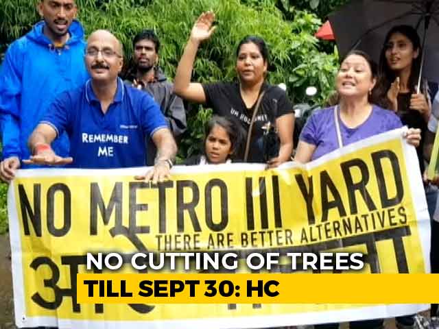 No Trees To Be Cut In Mumbai's Aarey Colony Till September 30, Court Says Amid Protests