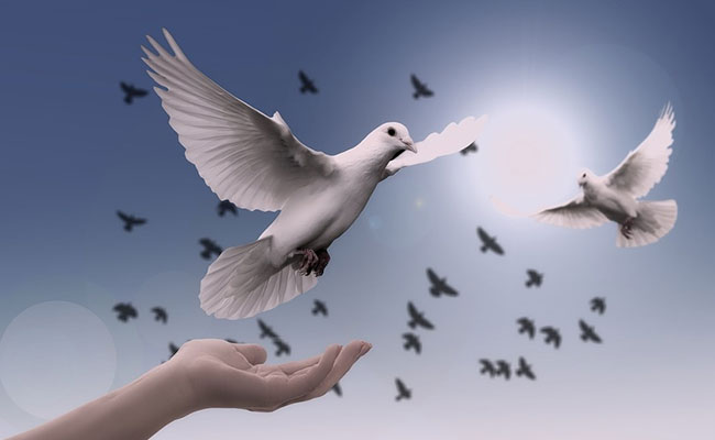 International Day of Peace: Why UN Picked "Climate Action for Peace" As This Year's Theme