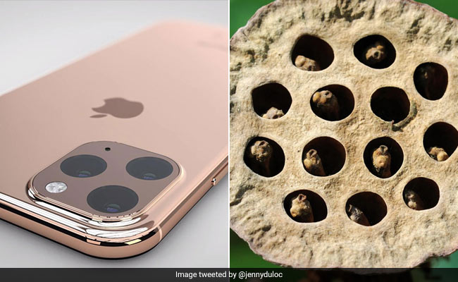 The New iPhone Is Making People With Trypophobia Uncomfortable