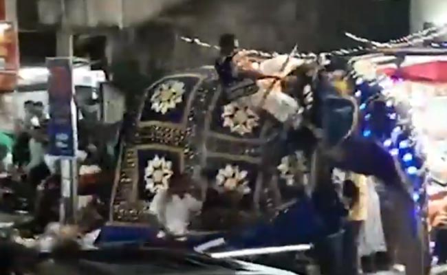 Elephants Out Of Control At Religious Festival, 17 Injured