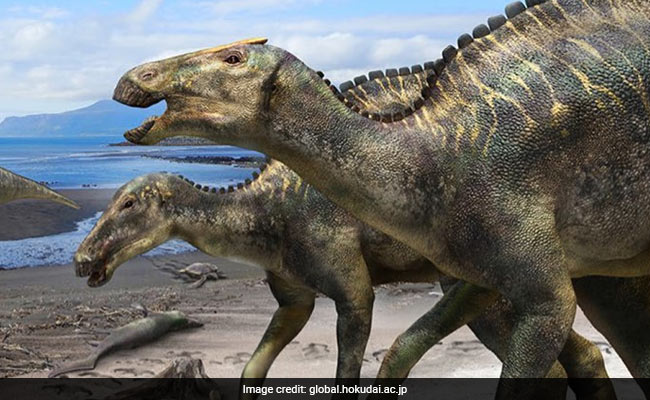 "Japanese Dragon God": New Dinosaur Species Discovered By Scientists