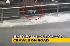 Watch: Baby Crawls On Kerala Road After Falling Off SUV As Parents Doze Off Watch: Baby Crawls On Kerala Road After Falling Off SUV As Parents Doze Off
